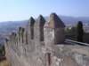 Photo Number 6