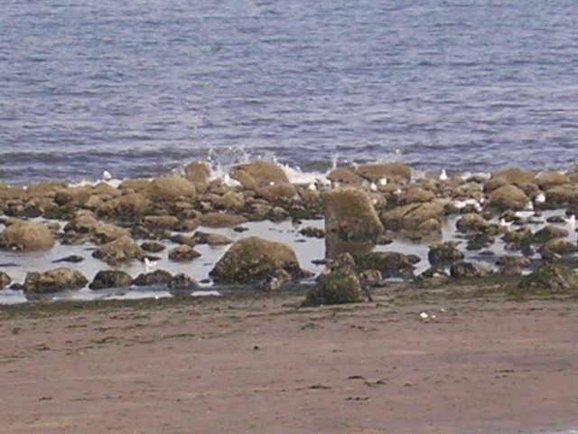 Photograph