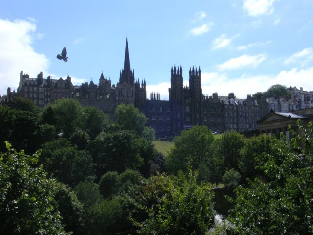 Photograph